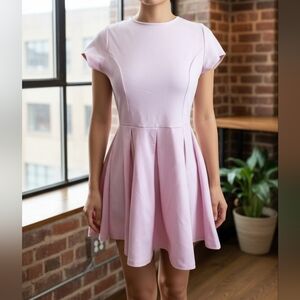 Lovely Day Pink  Fit and Flare Shortsleeve Dress size Large